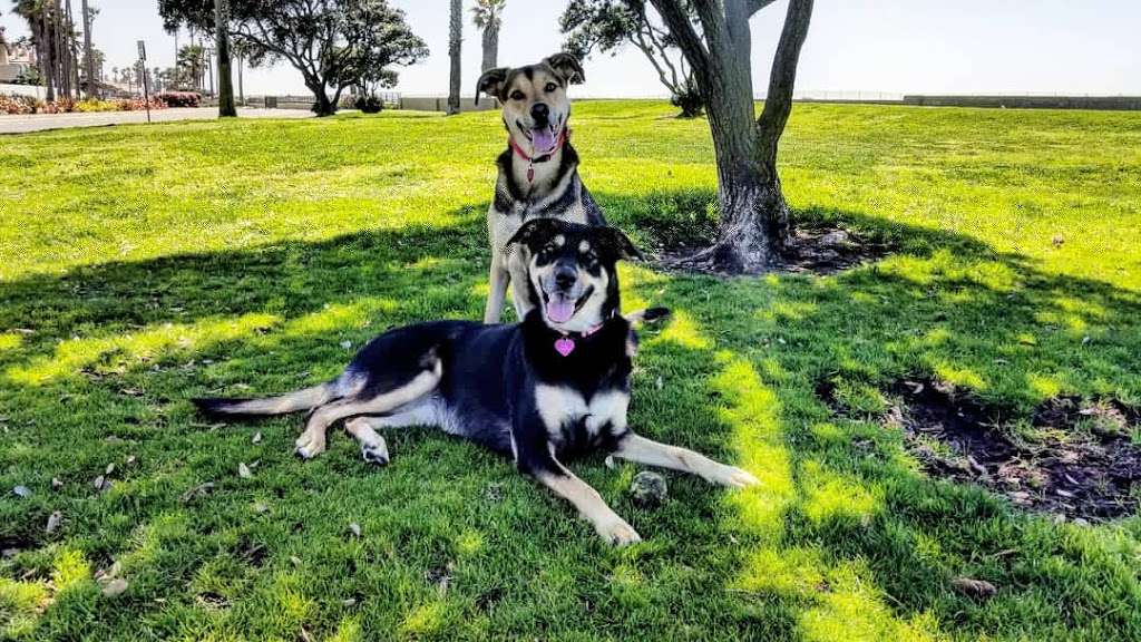 Coronado Cays Dog Park | Coronado, CA 92118, USA