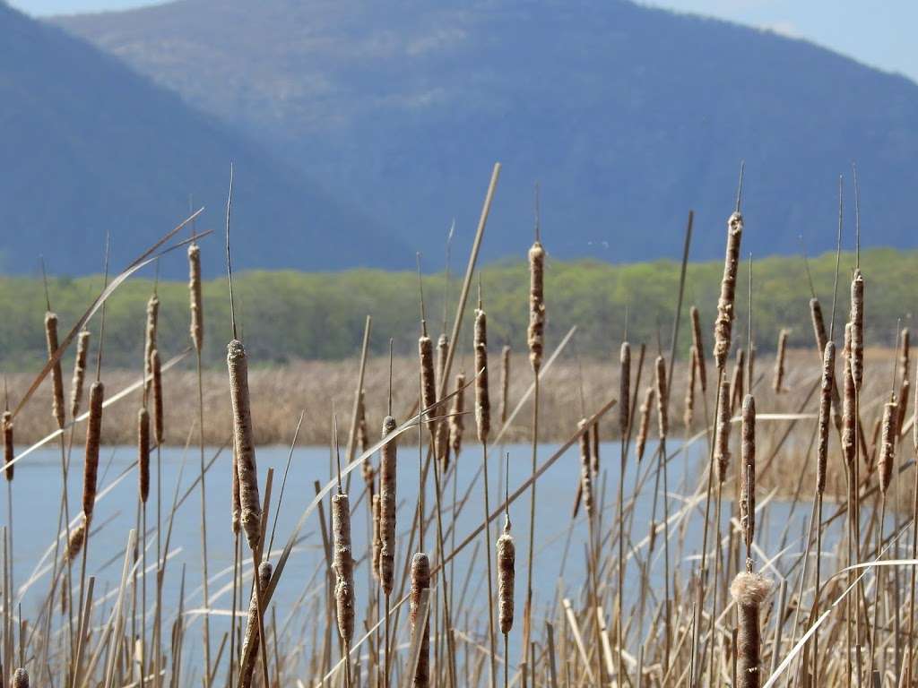 Constitution Marsh Audubon Center and Sanctuary | 127 Warren Landing Rd, Garrison, NY 10524, USA | Phone: (845) 265-2601