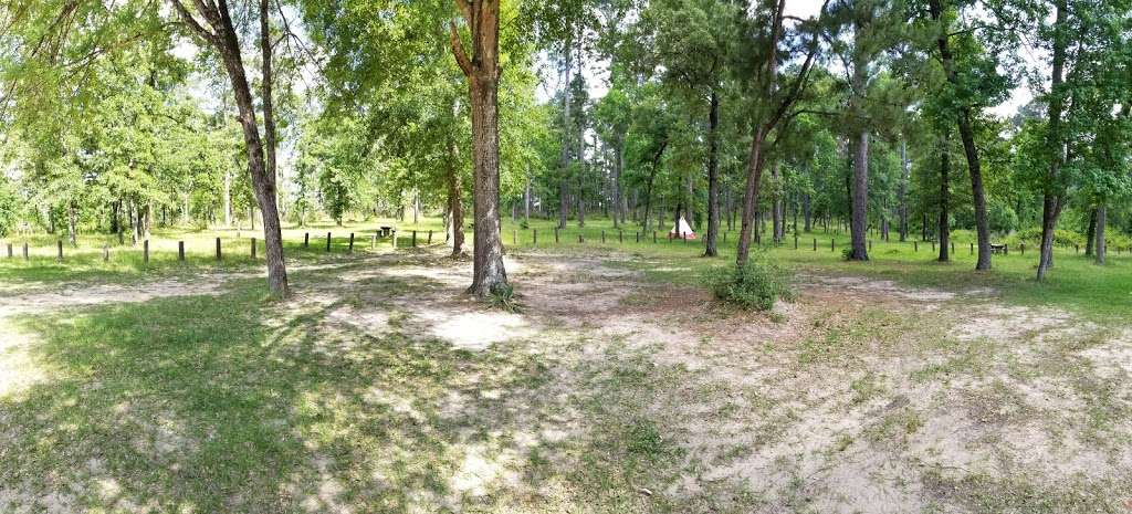 Sam Houston National Forest - Stubblefield Trailhead | Unnamed Road, Montgomery, TX 77356, USA