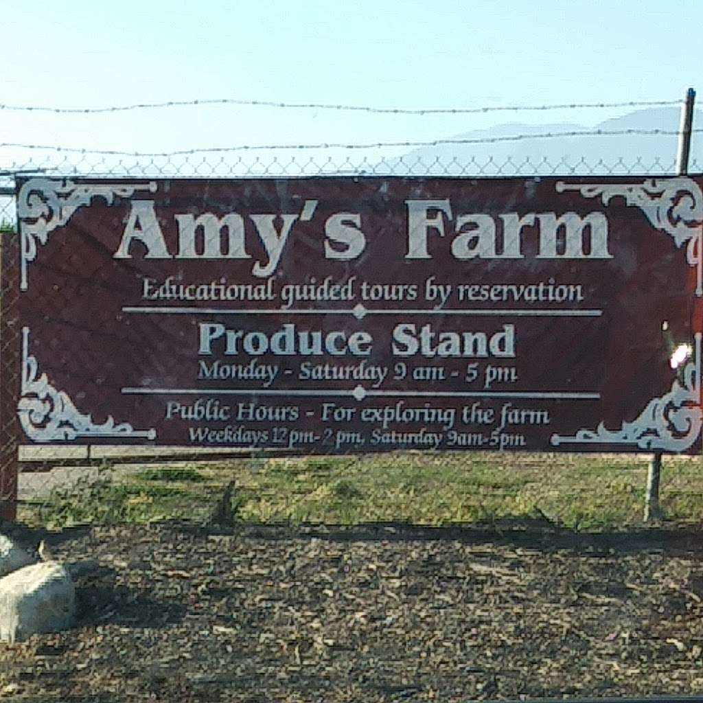 Amys farm cafe | 7519 Eucalyptus Ave, Ontario, CA 91762, USA | Phone: (909) 286-0081