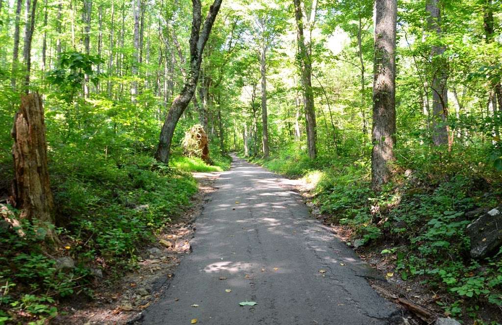 Old Rag Circuit Hike | Nethers Rd, Etlan, VA 22719, USA | Phone: (540) 999-3500