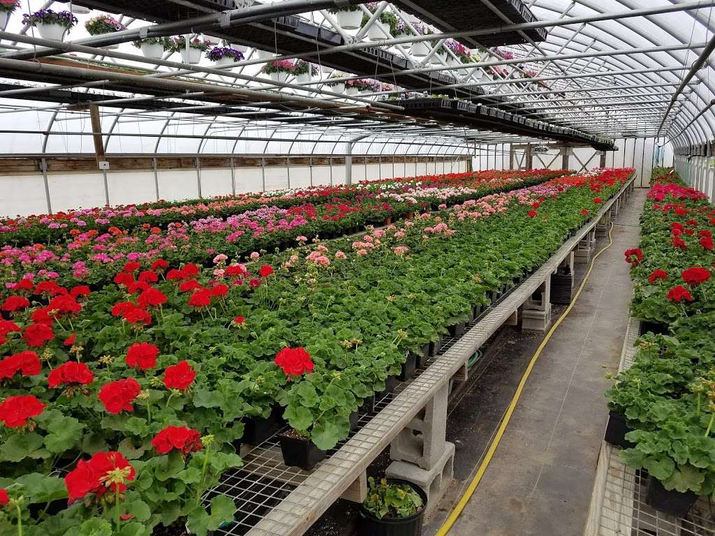 Cinder Road Greenhouse | 153 Cinder Rd, New Providence, PA 17560, USA | Phone: (717) 786-2394