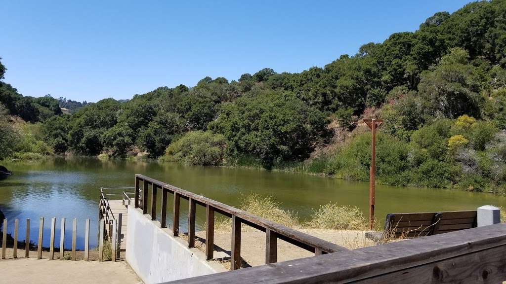 Water Dog Lake Park & Open Space | Corner of Lyall Way &, Lake Rd, Belmont, CA 94002 | Phone: (650) 595-7441