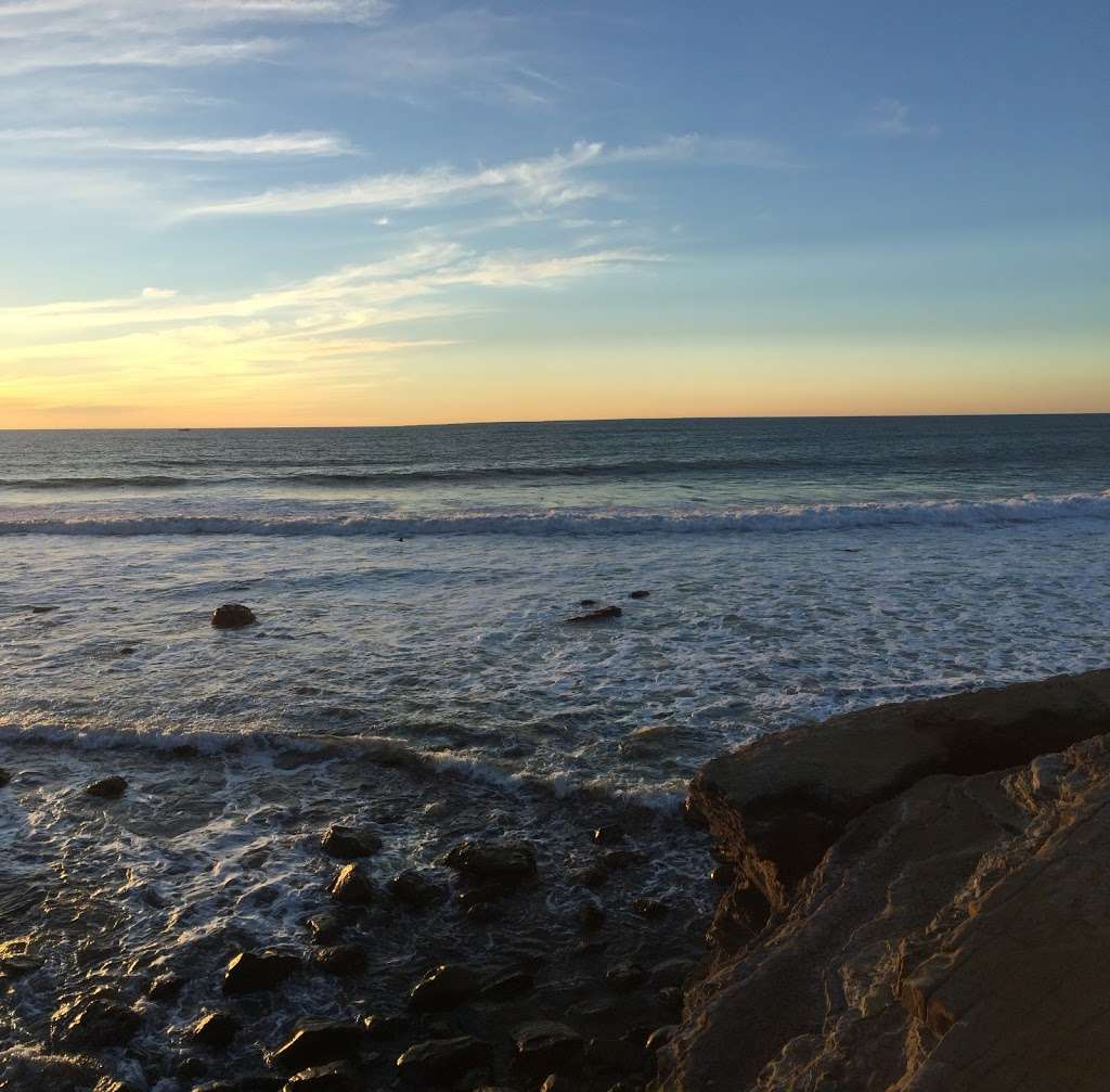 Point Loma Tide Pools | 1800 Cabrillo Memorial Dr, San Diego, CA 92106, USA | Phone: (619) 557-5450