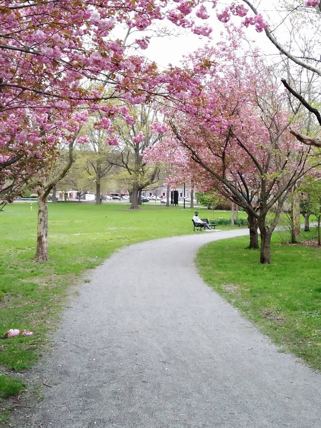 Winthrop Street Community Garden | 213 Winthrop St, Medford, MA 02155, USA | Phone: (617) 256-5652