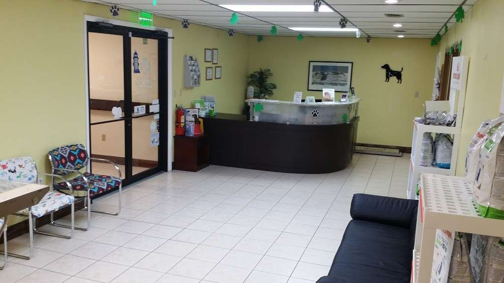 Tender Hearts Animal Hospital | 2200 E Irlo Bronson Memorial Hwy, Kissimmee, FL 34744, USA | Phone: (407) 201-3825