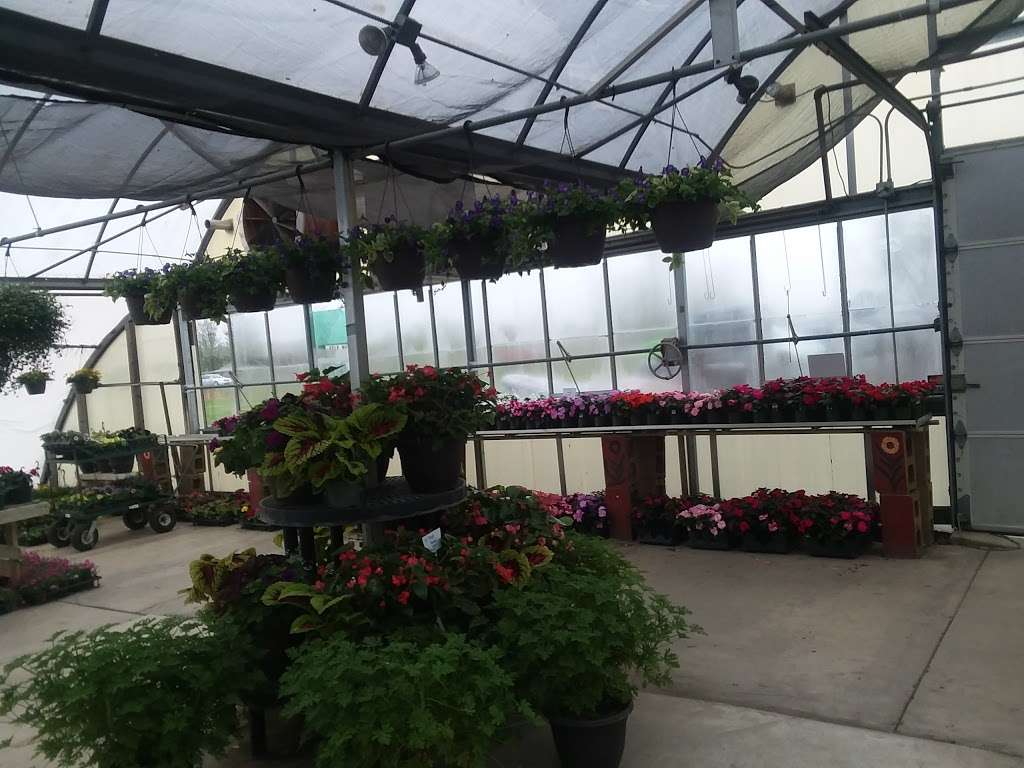 Hoffman Garden Center | 30699 US-12, Volo, IL 60073, USA | Phone: (815) 344-1990