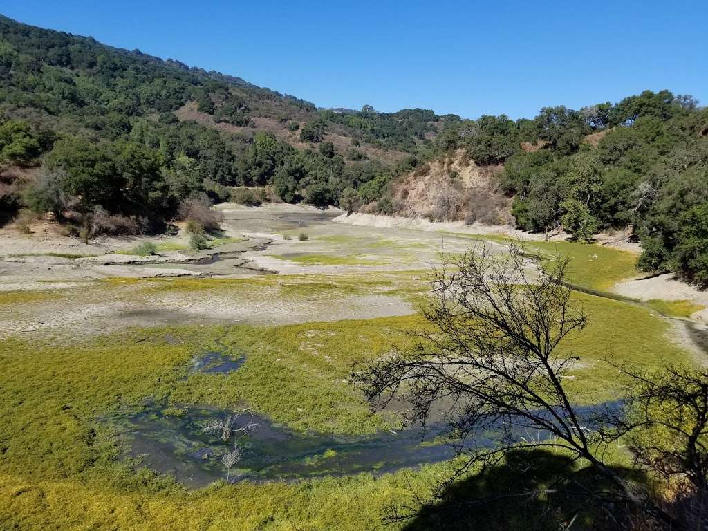 Stevens Creek County Park | 11401 Stevens Canyon Rd, Cupertino, CA 95014 | Phone: (408) 867-3654