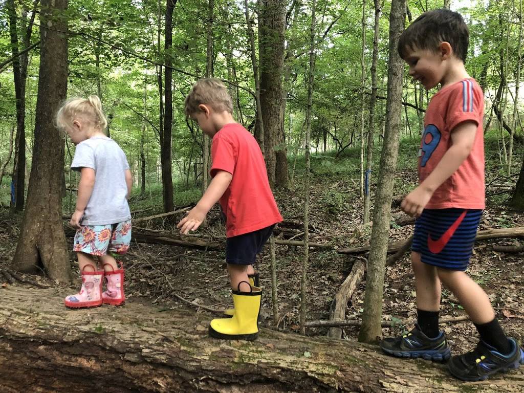 Thrive Forest School | 12501 Harmony Landing Rd, Goshen, KY 40026, USA | Phone: (502) 228-4362