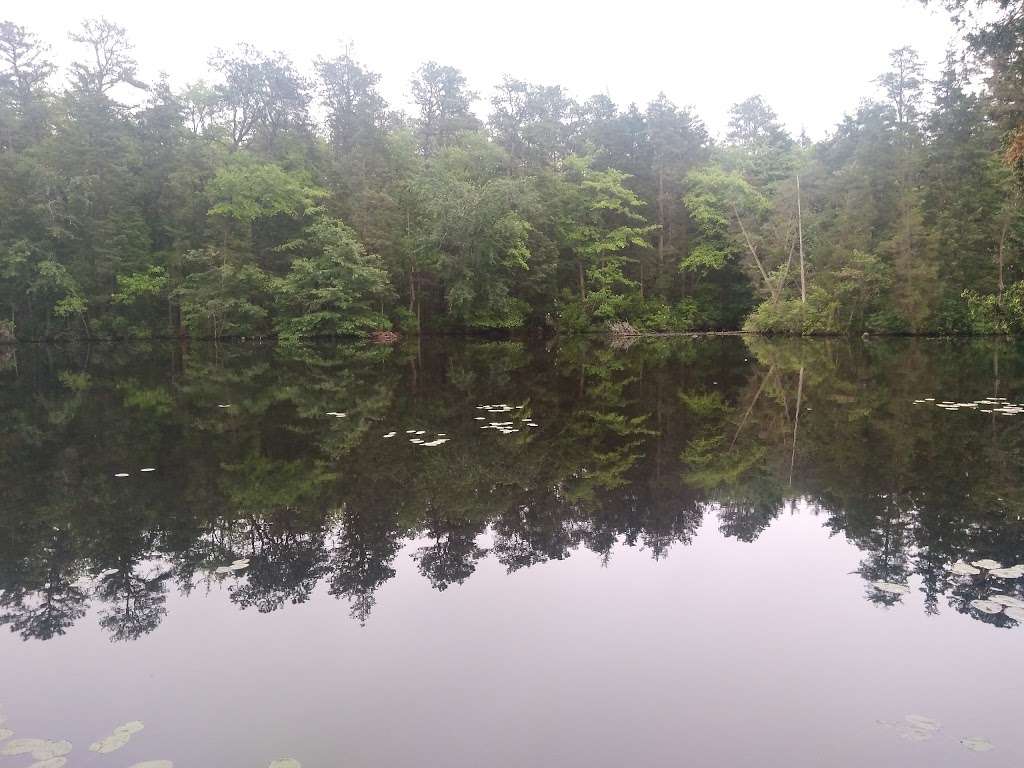 Hammonton Lake Park Trail Hammonton Lake Park Trail, Hammonton, NJ 08037