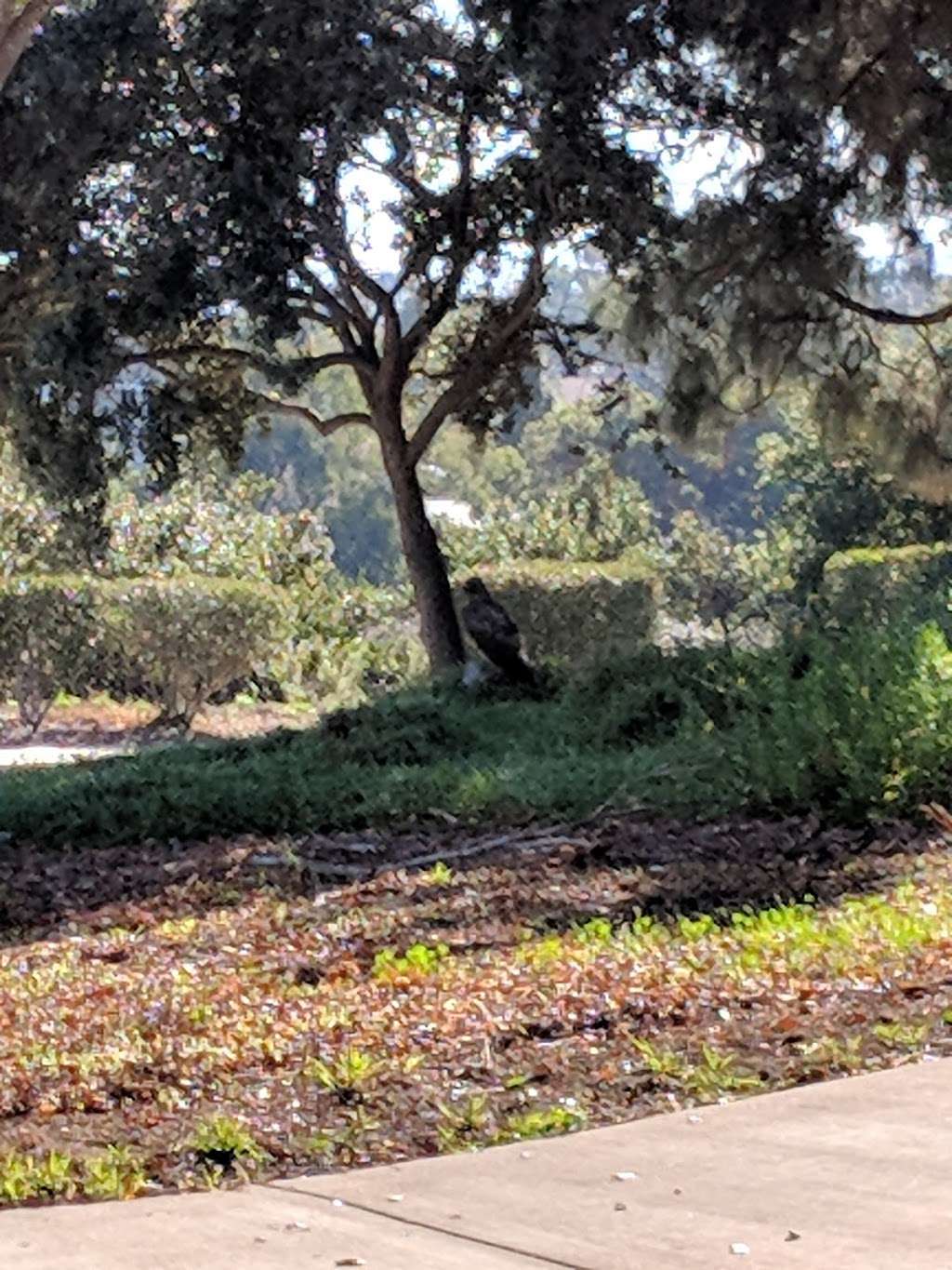 Explorer Park | S Rancho Del Rey Pkwy, Chula Vista, CA 91910, USA