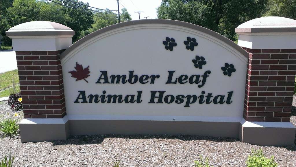 Amber Leaf Animal Hospital | 28 W. 730 Roosevelt Rd, Winfield, IL 60190, USA | Phone: (630) 231-7640