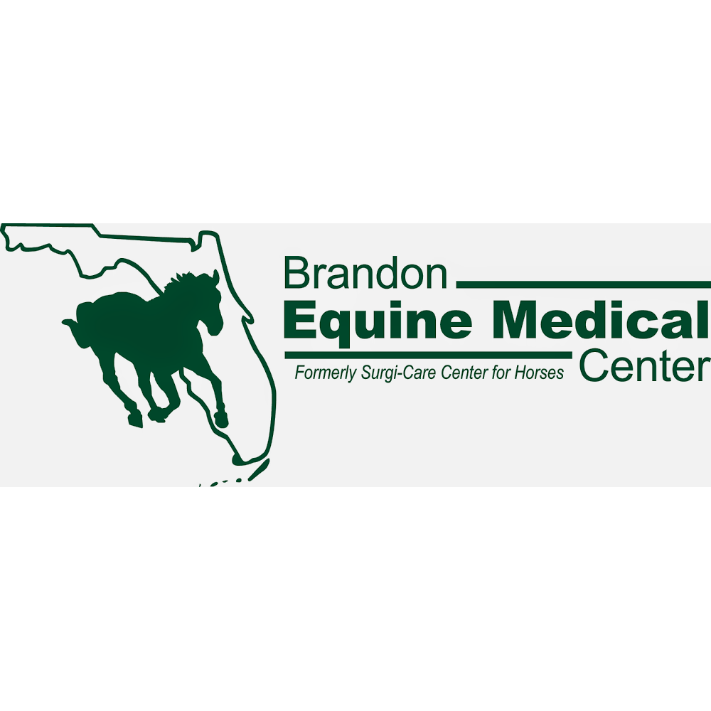 Brandon Equine Medical Center | 605 E Bloomingdale Ave, Brandon, FL 33511, USA | Phone: (813) 643-7177