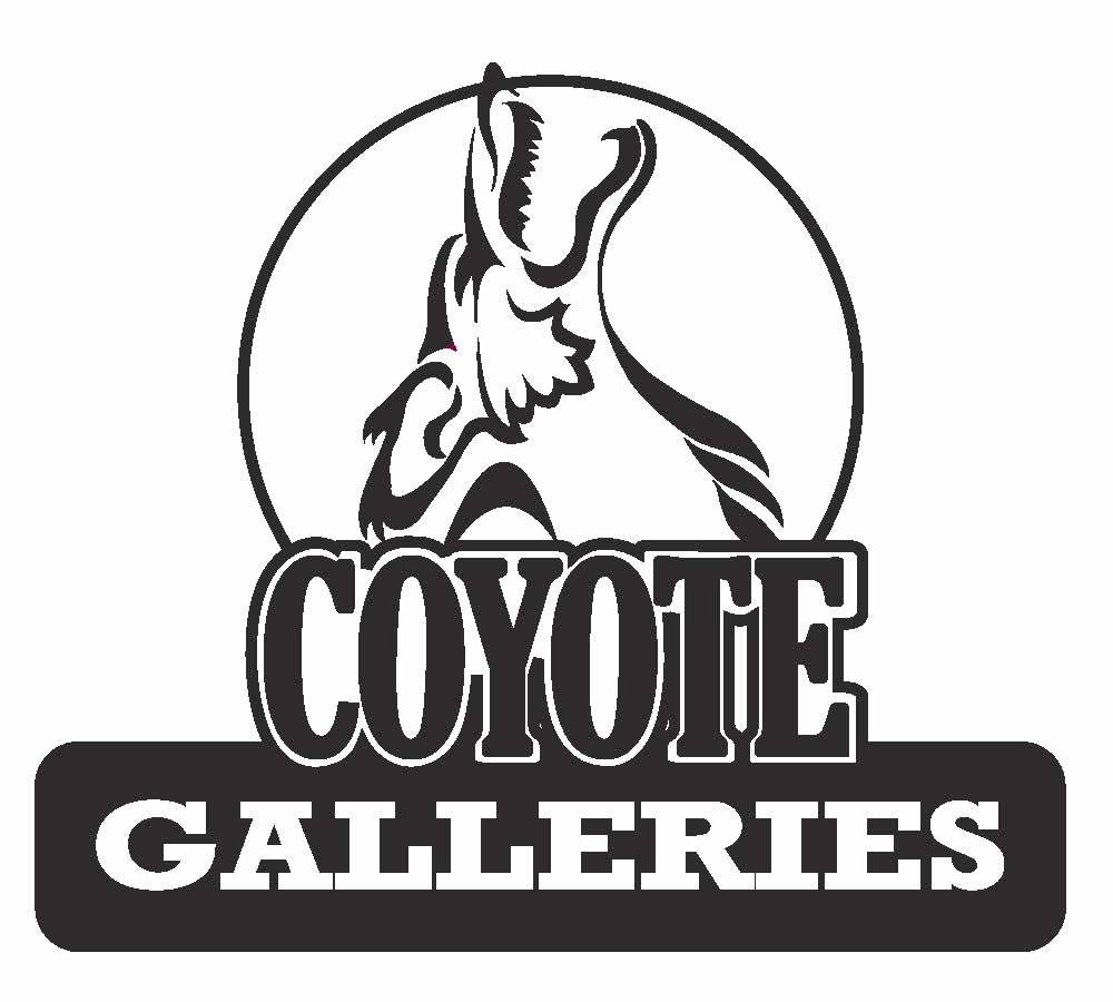 Coyote Galleries | 35 Wilson St Suite 106A, Pittsburgh, PA 15223, USA | Phone: (412) 781-0200