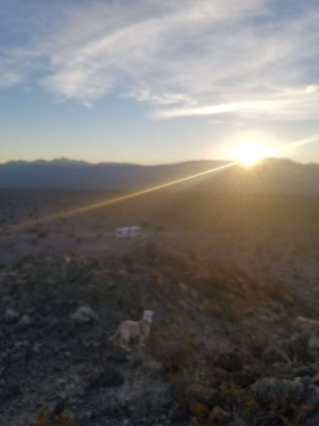 Gass Peak Road Camping Area | Gass Peak Rd, Las Vegas, NV 89131, USA