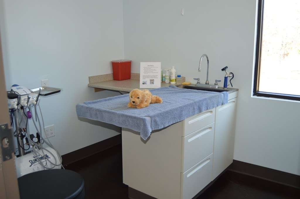 Chestnut Arbor Veterinary Hospital Matthews | 2925 Matthews Weddington Rd, Matthews, NC 28105, USA | Phone: (980) 238-3218