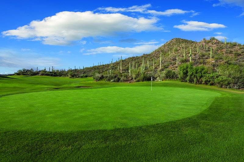 Starr Pass Golf Suites | 3645 W Starr Pass Blvd, Tucson, AZ 85745, USA | Phone: (520) 670-0500