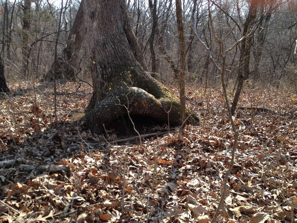 Blue and Gray Park | E Hammond Rd, Lone Jack, MO 64070, USA