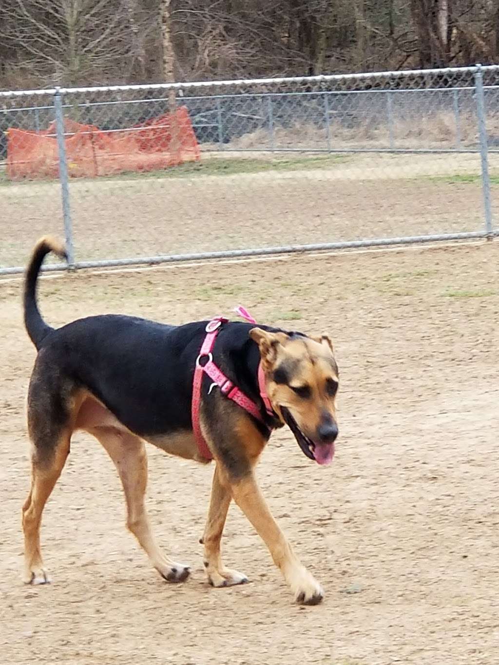 Bark Park | Fort Meade Dog Park, Ernie Pyle St, Fort Meade, MD 20755