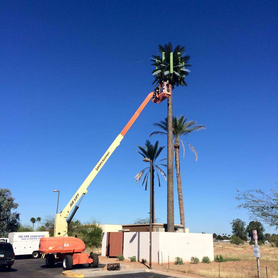 Dons Bees, Termites and Weeds LLC | 21752 N 85th Ave, Peoria, AZ 85382, USA | Phone: (623) 363-5468