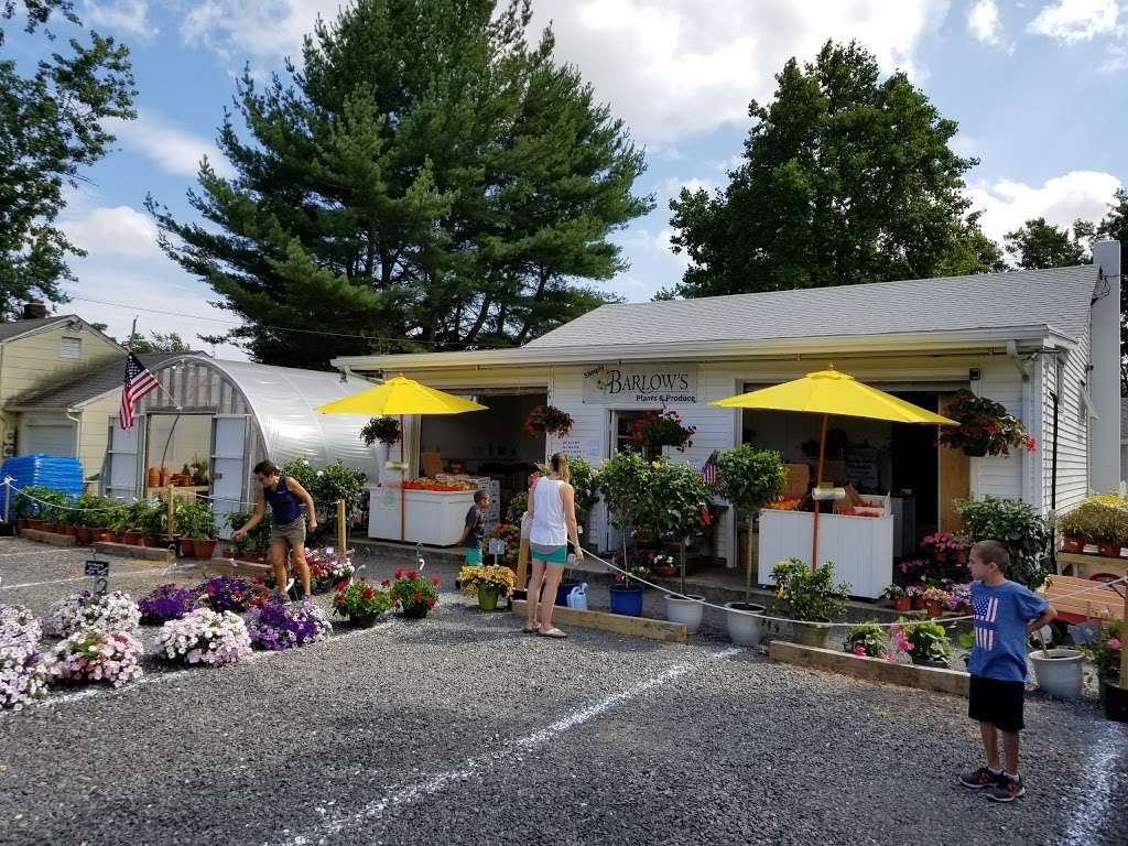 Barlows Flower Farm | 2709 Belmar Blvd, Belmar, NJ 07719