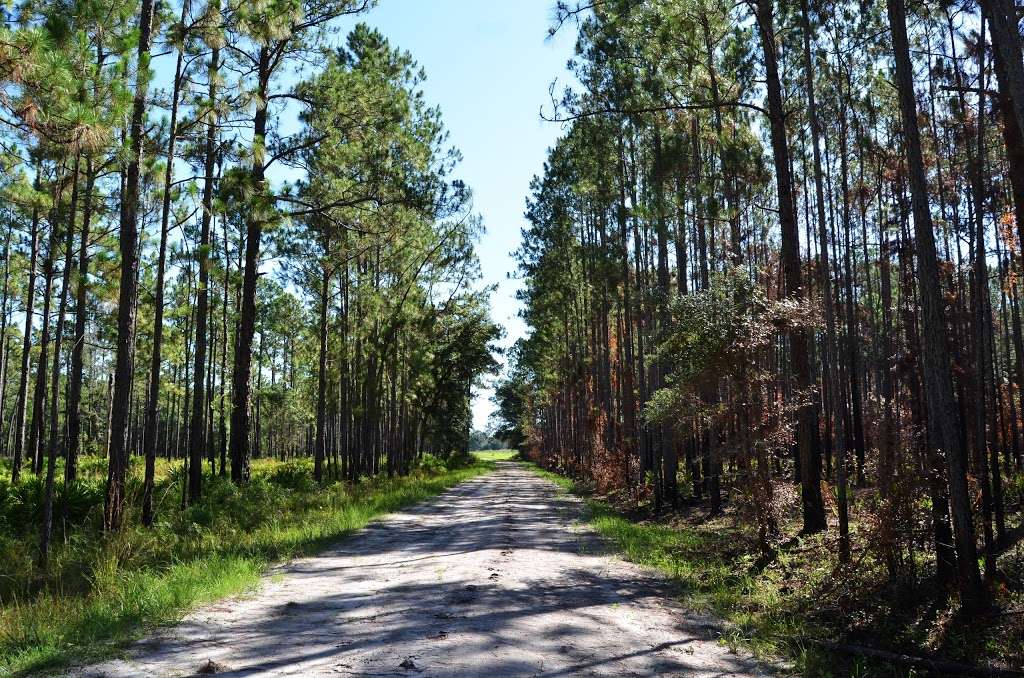 Colt Creek State Park | colt creek, Lakeland, FL 33809, USA | Phone: (863) 815-6761