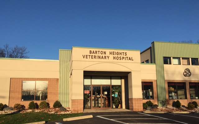 Veterinary Emergency & Referral Hospital | 100 Terrace Dr, Stroudsburg, PA 18360, USA | Phone: (570) 424-6773