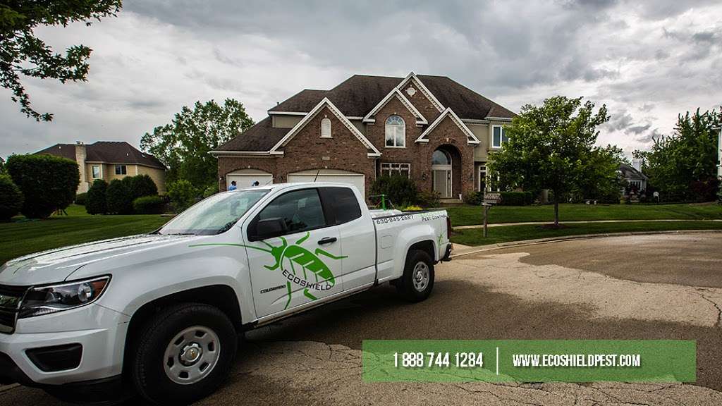 EcoShield Pest Control | 3991 First St Suite F, Livermore, CA 94551, USA | Phone: (925) 348-9555