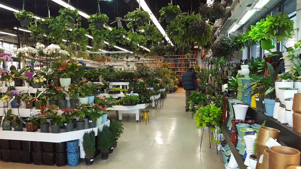 14th Street Garden Center | 793 Jersey Ave, Jersey City, NJ 07310, USA | Phone: (201) 963-1414