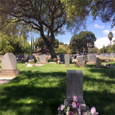 Oak View Memorial Park Cemetery | 2500 E 18th St, Antioch, CA 94509 | Phone: (925) 757-4500