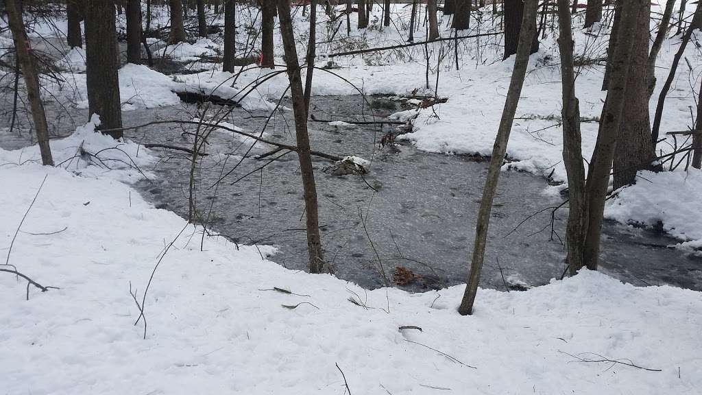 Russell Mill Pond and Town Forest | 105 Mill Rd, Chelmsford, MA 01824, USA