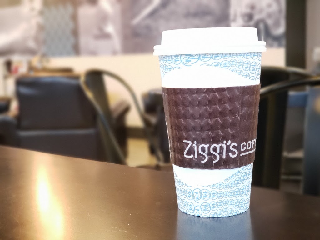 Ziggis Coffee | 14325 Lincoln St, Thornton, CO 80023, USA | Phone: (303) 254-5855