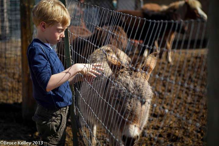 The Denver Waldorf School | 2100 S Pennsylvania St, Denver, CO 80210, USA | Phone: (303) 777-0531