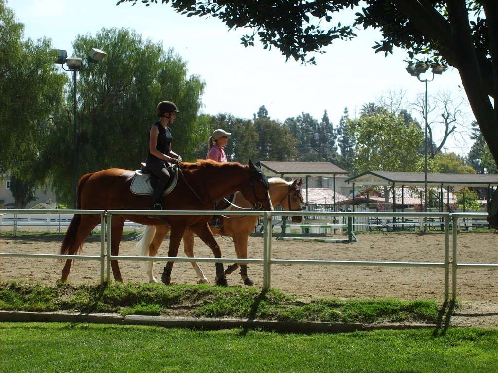 Lincourt Stables | 3919 Rigali Ave, Los Angeles, CA 90039, USA | Phone: (818) 822-0881