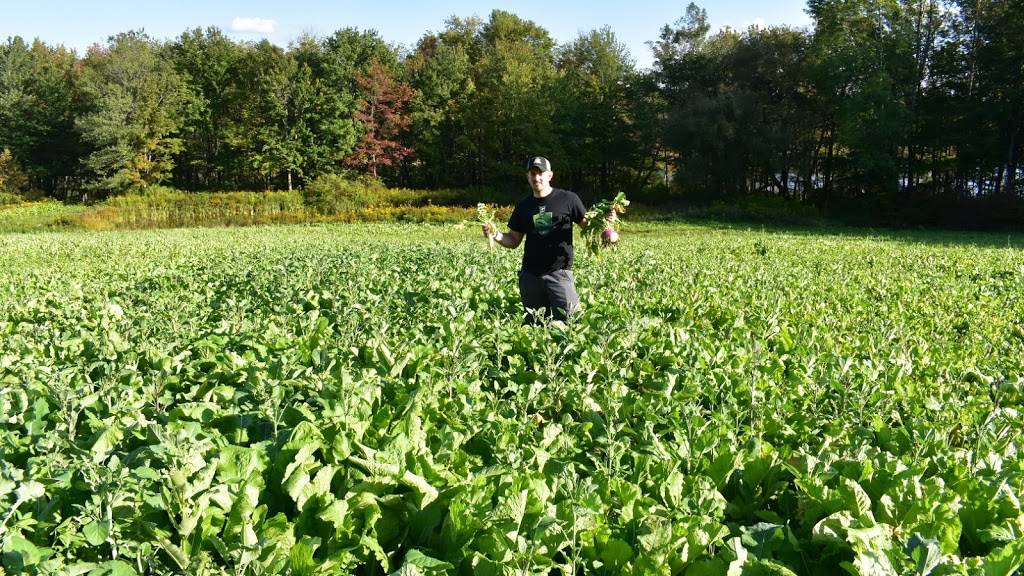 FAST Food Plots | State Route 247, Clifford, PA 18421, USA | Phone: (570) 351-2819