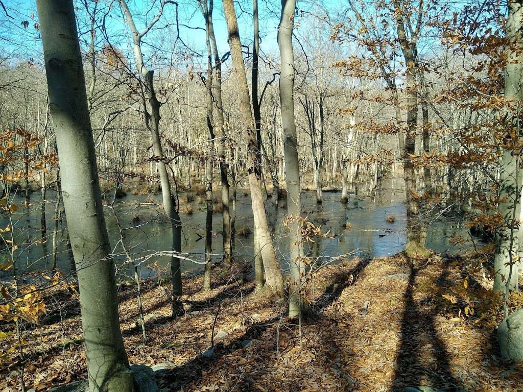 Sasso Tract / Beaver Brook | Boonton, NJ 07005, USA