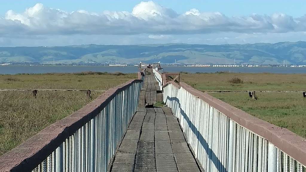 Lucy Evans Baylands Nature Interpretive Center (The City of Palo | 2775 Embarcadero Rd, Palo Alto, CA 94303 | Phone: (650) 329-2506