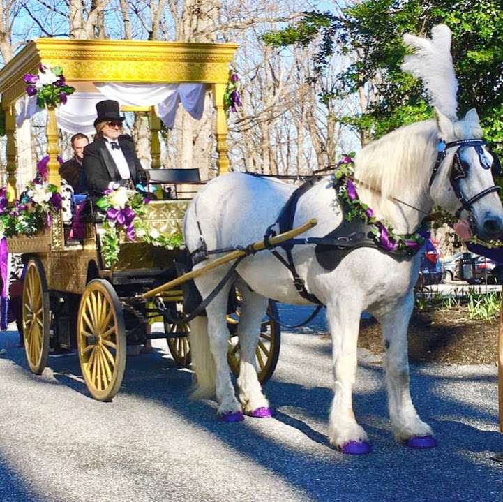 Dianas Wedding Horses | 3430 W Watersville Rd, Mt Airy, MD 21771, USA | Phone: (301) 829-5048