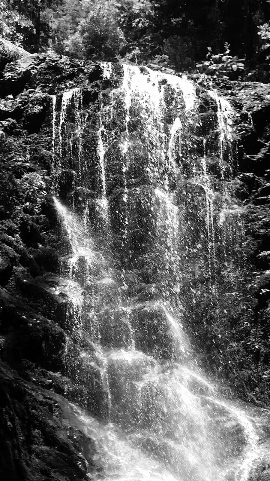 Berry Creek Falls Loop Trail | Boulder Creek, CA 95006, USA