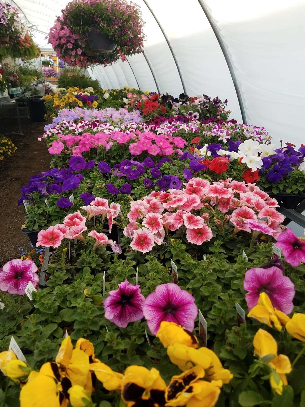 T & R Garden Center and Gift Shop | 14867 Russell Rd, Russell, IL 60075, USA | Phone: (847) 395-7708