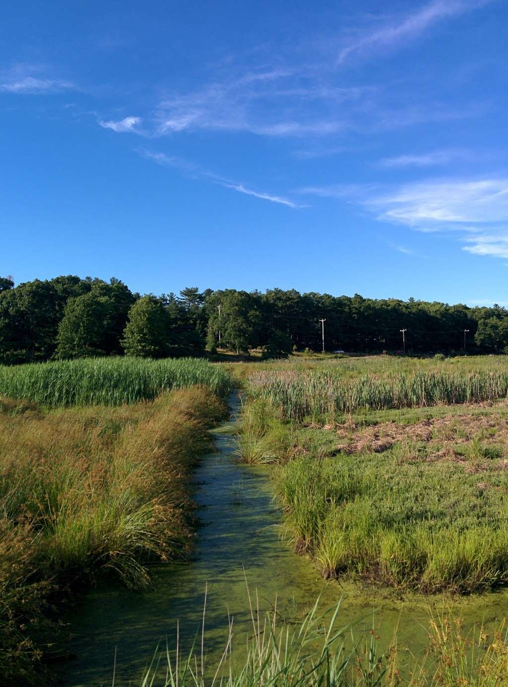 Crowell Conservation Area | 225 Lincoln St, Duxbury, MA 02332, USA