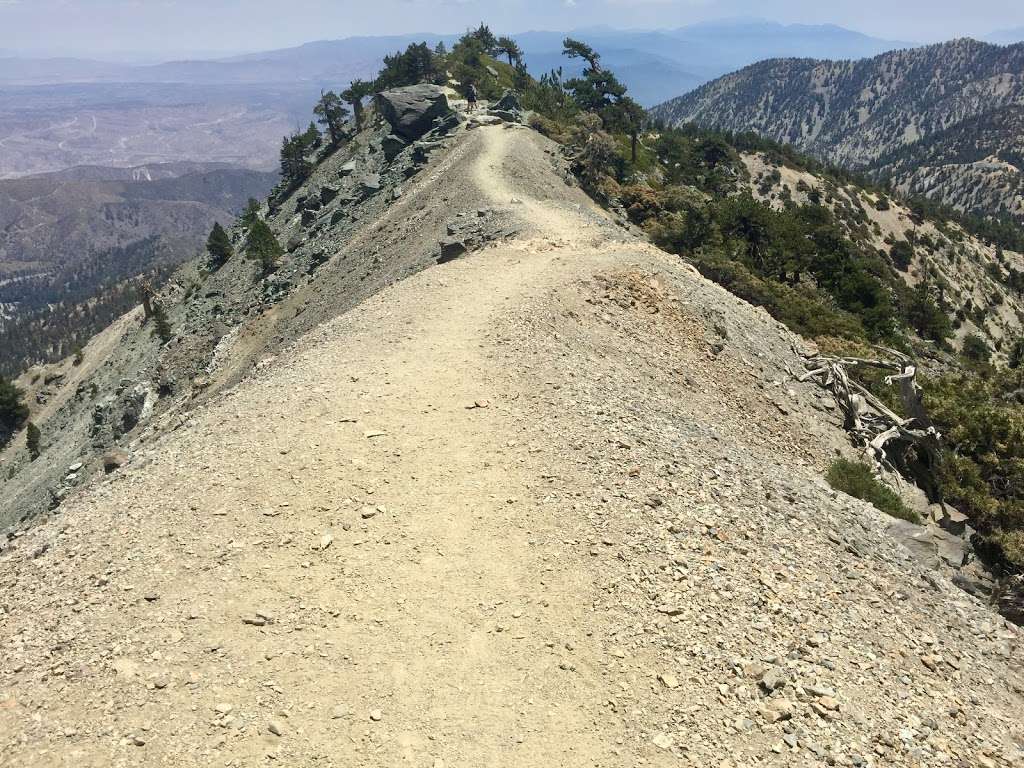 Mt Baldy Trailhead | 901-993 Falls Rd, Mt Baldy, CA 91759, USA