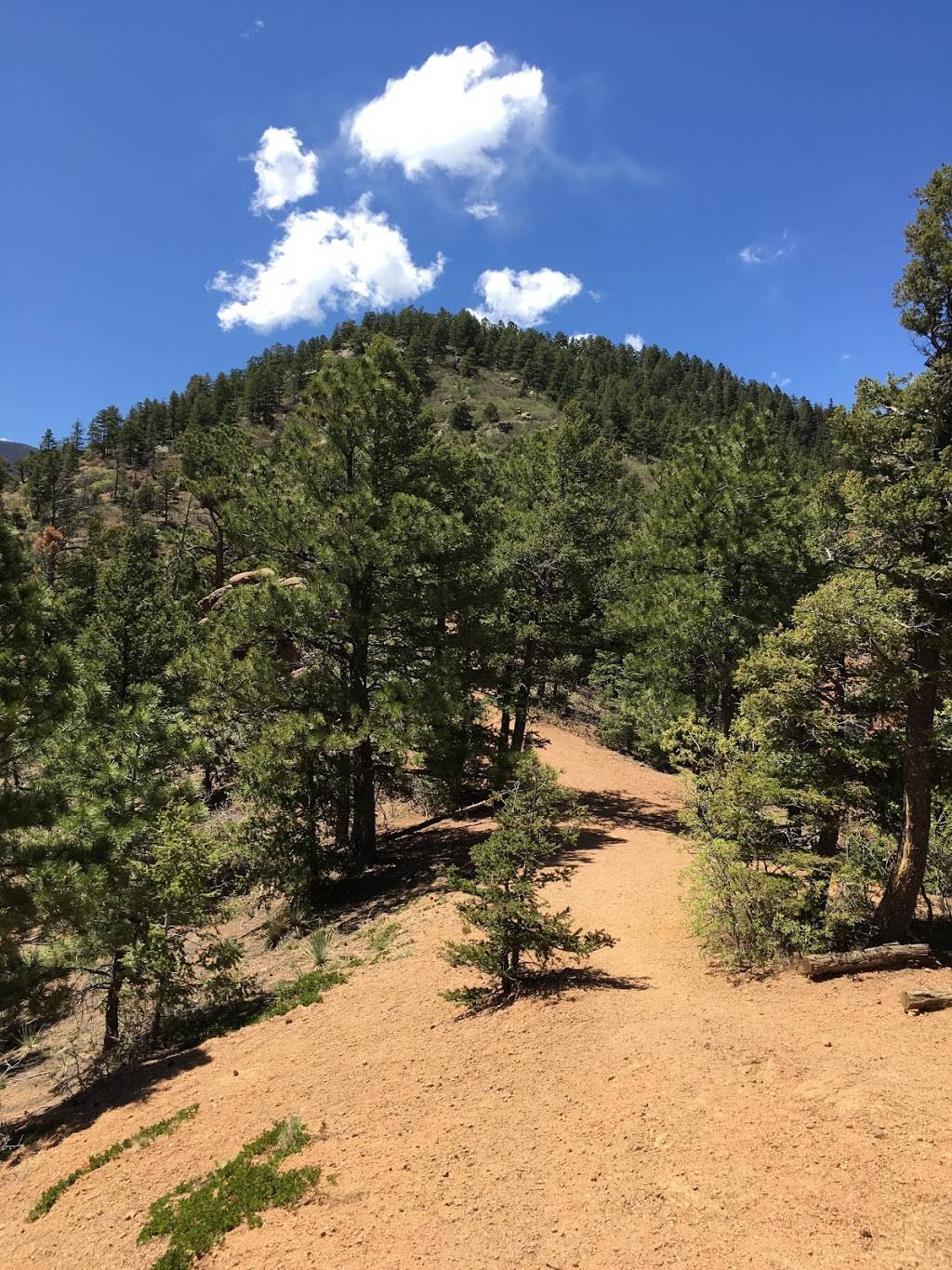 Section 16 Trailhead | Gold Camp Rd, Manitou Springs, CO 80829, USA | Phone: (719) 685-5089