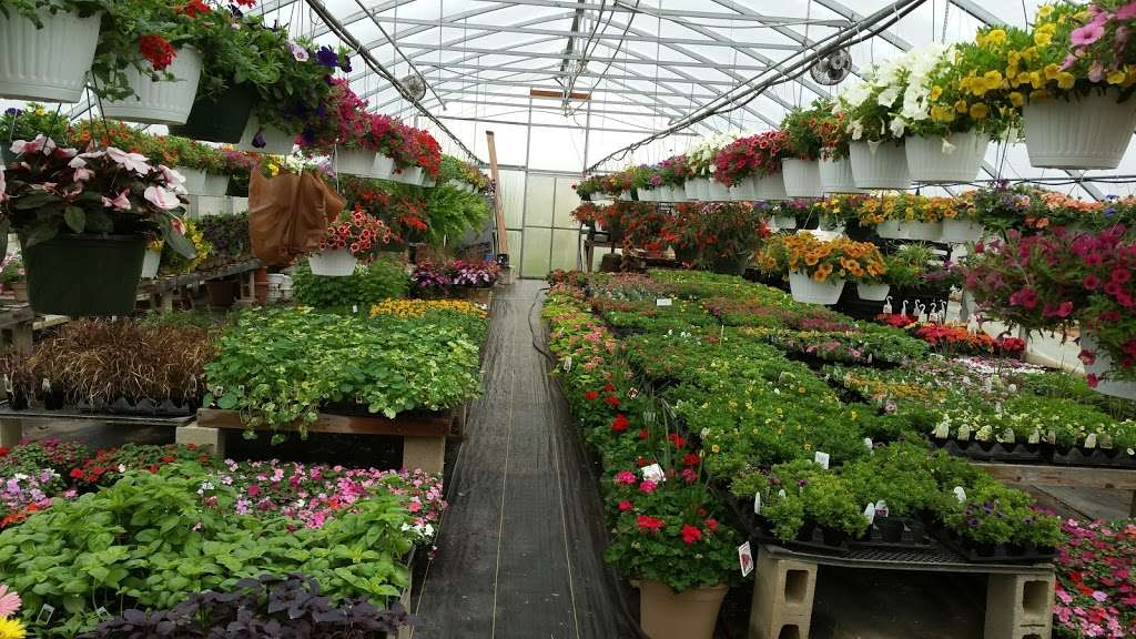 Garden Road Greenhouse | 402 Garden Rd, Elmer, NJ 08318, USA | Phone: (856) 358-3032