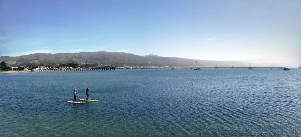 West Shoreline Access | Unnamed Road, Half Moon Bay, CA 94019, USA