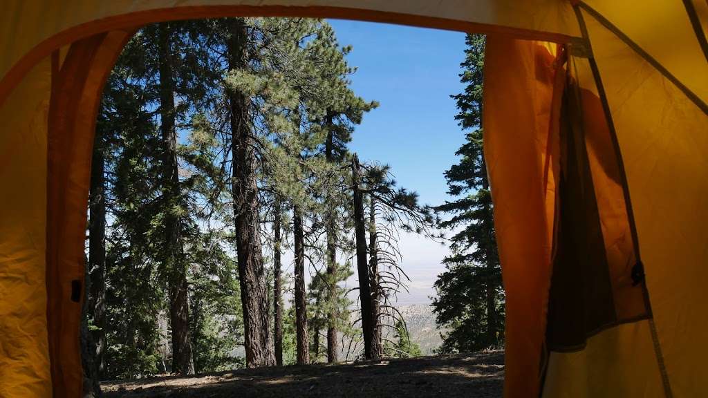 Jackson Flat Group Campground | Angeles Crest Hwy, Wrightwood, CA 92397 | Phone: (626) 574-1613