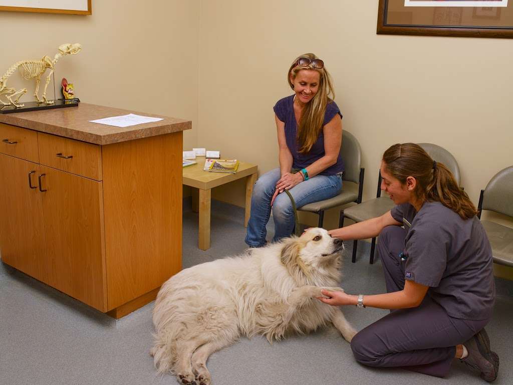 Veterinary Surgical Specialists | 2965 Edinger Ave, Desk 1, Tustin, CA 92780, USA | Phone: (949) 936-0055