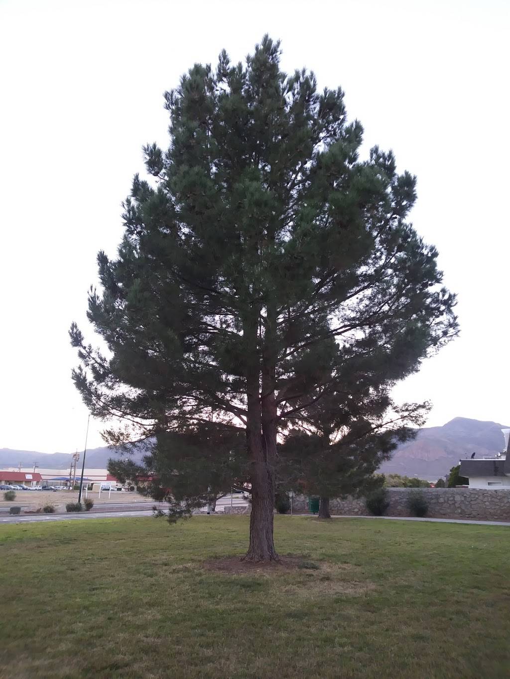 Colonia Verde Park | 5452 Ketchikan St, El Paso, TX 79924, USA | Phone: (915) 858-1929