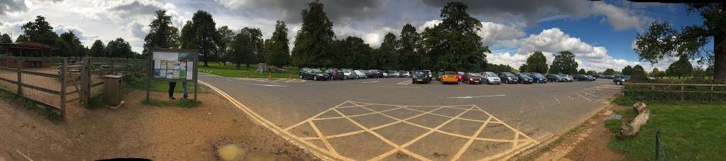 Pines and Needles | Diana Car Park, Bushy Park, London KT8 9DD, UK | Phone: 020 3598 4877