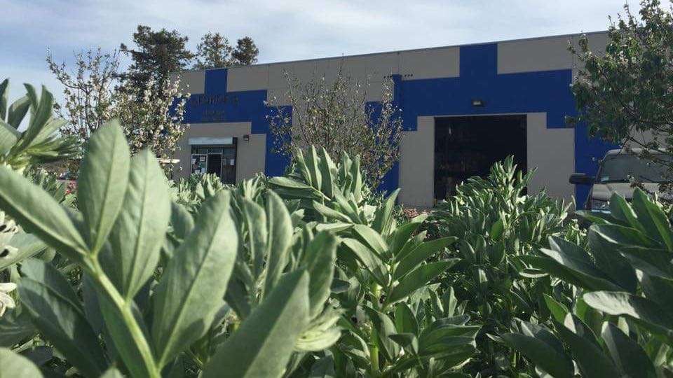 Georges Feed & Pet Supply | 1530 Humphrey Dr, Suisun City, CA 94585, USA | Phone: (707) 425-9642 Georges Feed & Pet Supply | 1530 Humphrey Dr, Suisun City, CA 94585, USA | Phone: (707) 425-9642